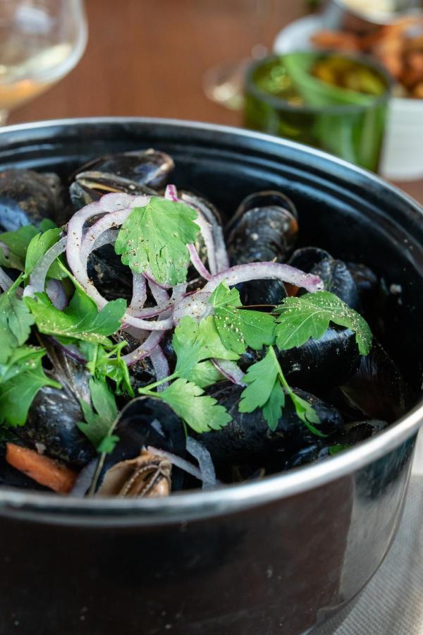 Grande Maison A Deux Pas De La Mer 布赖迪讷 外观 照片